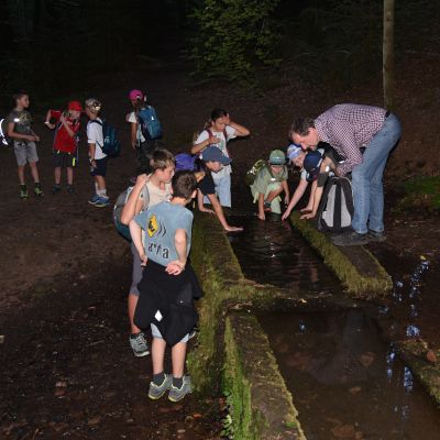 Am Bernhardsbrunnen am Monbach suchen Kinder nach Feuersalamanderlarven.